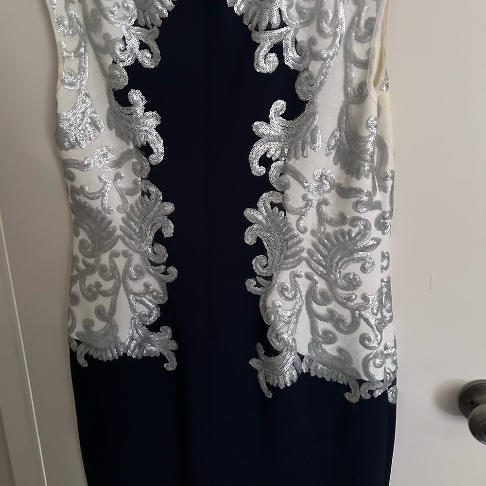 Elegant Black and Silver Dress